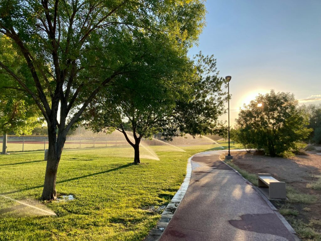 Sunlit park with pathway and sprinklers watering lush green grass and trees.